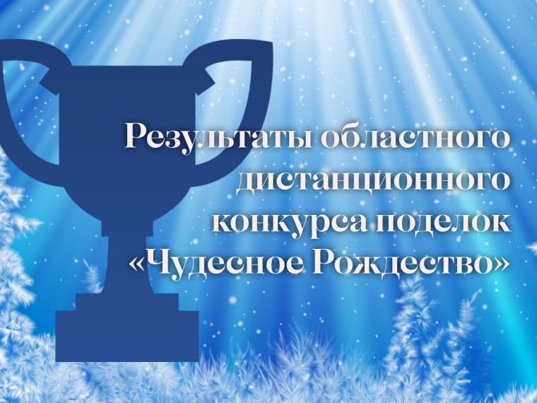Результаты областного дистанционного конкурса поделок «Чудесное Рождество».